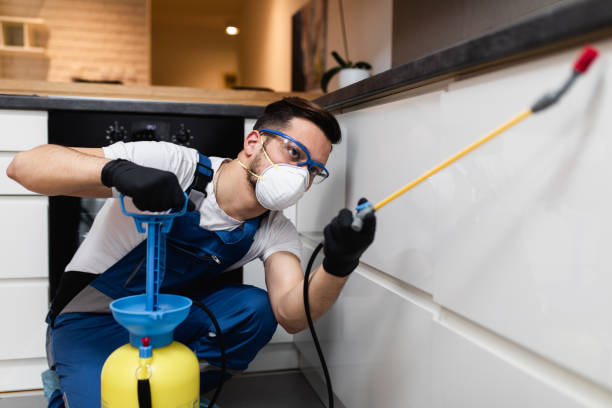Trusted Ozark, MO Pest Control Experts