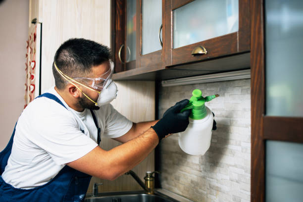Best Commercial Pest Control Services  in Ozark, MO
