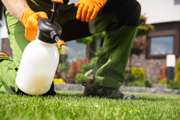 Best Pest Prevention Services  in Ozark, MO