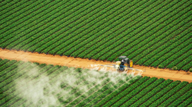 Best Mosquito Control Services  in Ozark, MO