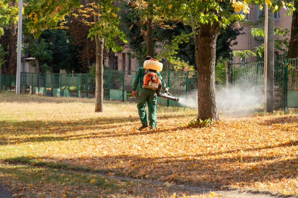 Professional Pest Control in Ozark, MO